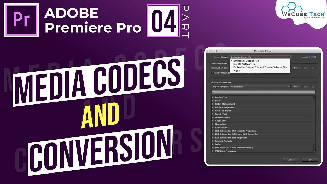 Part 4- Video Formats, Codecs & Containers (Explained In Hindi) | Formats Supported By Premiere Pro